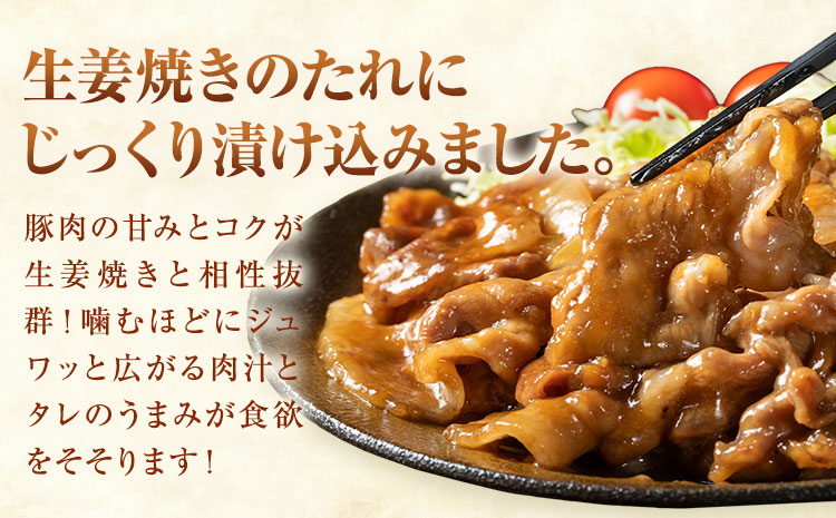 【ふるさと納税】匠坂東豚 国産豚 切り落とし 生姜焼き 味付 1kg (250g×4パック) 株式会社坂東太郎　おにくブッチャーズ《30日以内に出荷予定(土日祝除く)》茨城県 河内町 豚 豚肉 肉 おかず【配送不可地域あり】