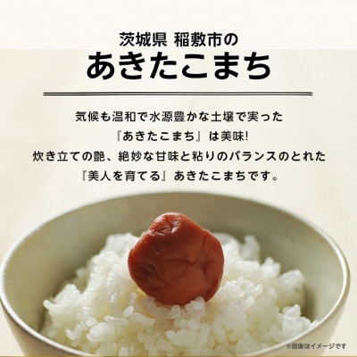 【令和6年産】河内町産あきたこまち20kg(10kg×2)(精米)【配送不可地域：離島・沖縄県】【1481667】