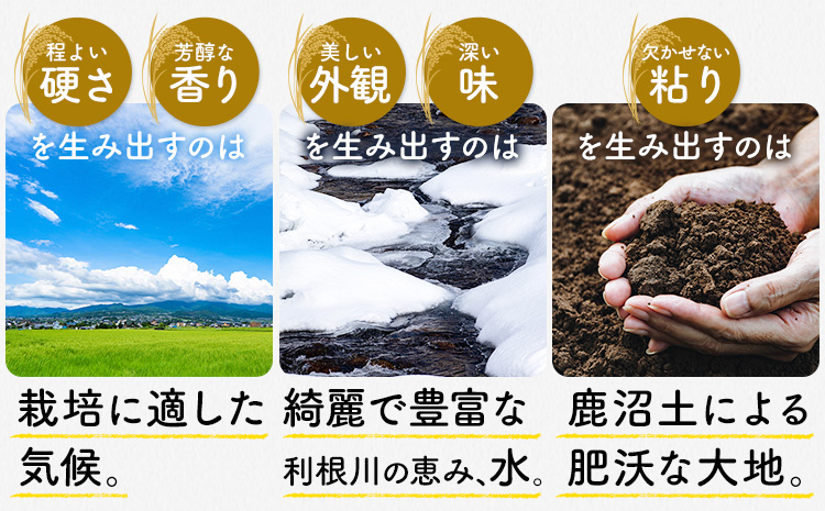 【3か月定期便】米 茨城 ふるさと米 白米 20kg《申込月の翌月より出荷開始》茨城県 河内町 米 国産 お米 おこめ お弁当 おにぎり