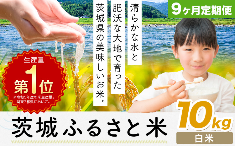 【9ヶ月定期便】米 茨城 ふるさと米 白米 10kg《申込月の翌月より出荷開始》茨城県 河内町 米 国産 お米 おこめ お弁当 おにぎり