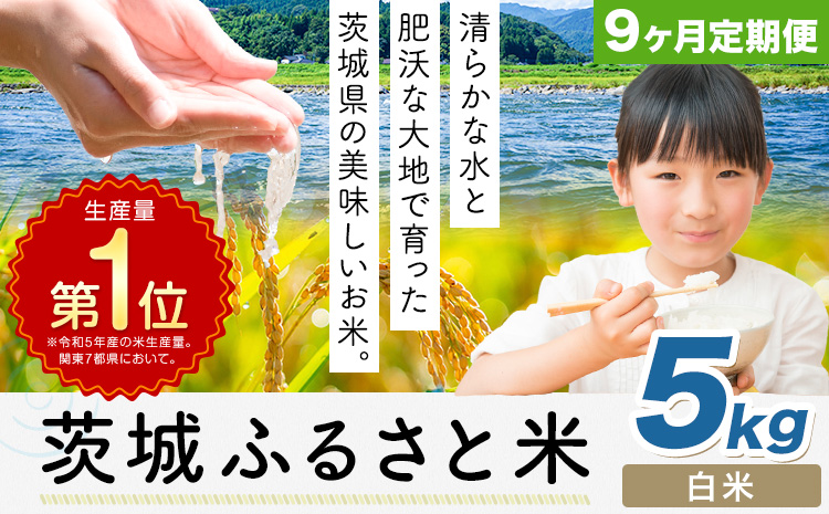 【9ヶ月定期便】米 茨城 ふるさと米 白米 5kg《申込月の翌月より出荷開始》茨城県 河内町 米 国産 お米 おこめ お弁当 おにぎり