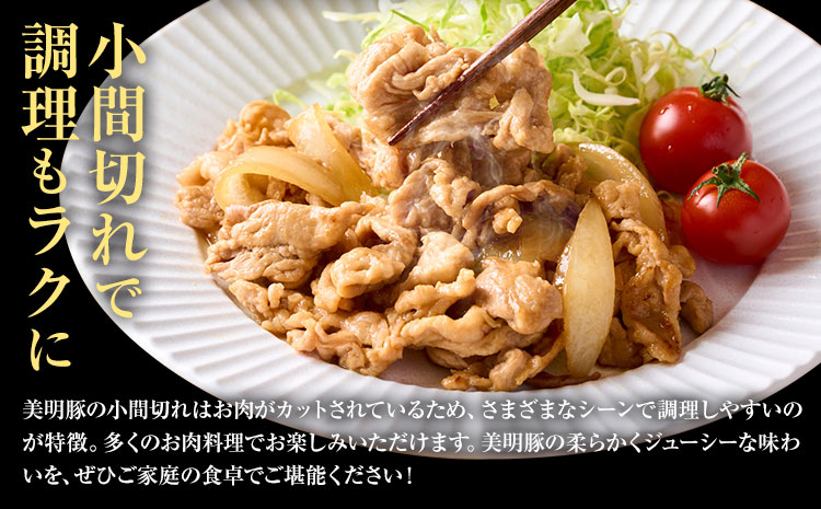 美明豚 小間切れ 500g × 10パック 計5kg (茨城県共通返礼品：茨城県産) ワークミート《30日以内に出荷予定(土日祝除く)》茨城県 河内町 SPF豚 びめいとん 部位 豚 こま切れ 豚肉 ブランド豚