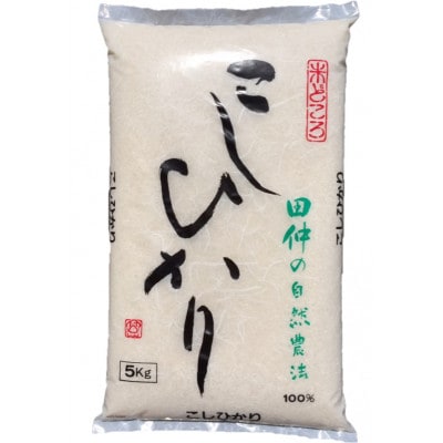 【令和6年産】特別栽培米　田仲のこしひかり10kg(5kg×2)(精米)【配送不可地域：離島・沖縄県】【1481654】