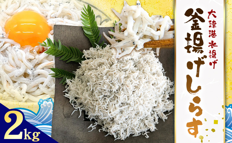 釜揚げしらす 大津港水揚げ しらす 2kg (茨城県共通返礼品：北茨城市) 川崎水産有限会社 《30日以内に出荷予定(土日祝除く)》釜揚げ 減塩 茨城県 河内町 【配送不可地域あり】（沖縄・離島）