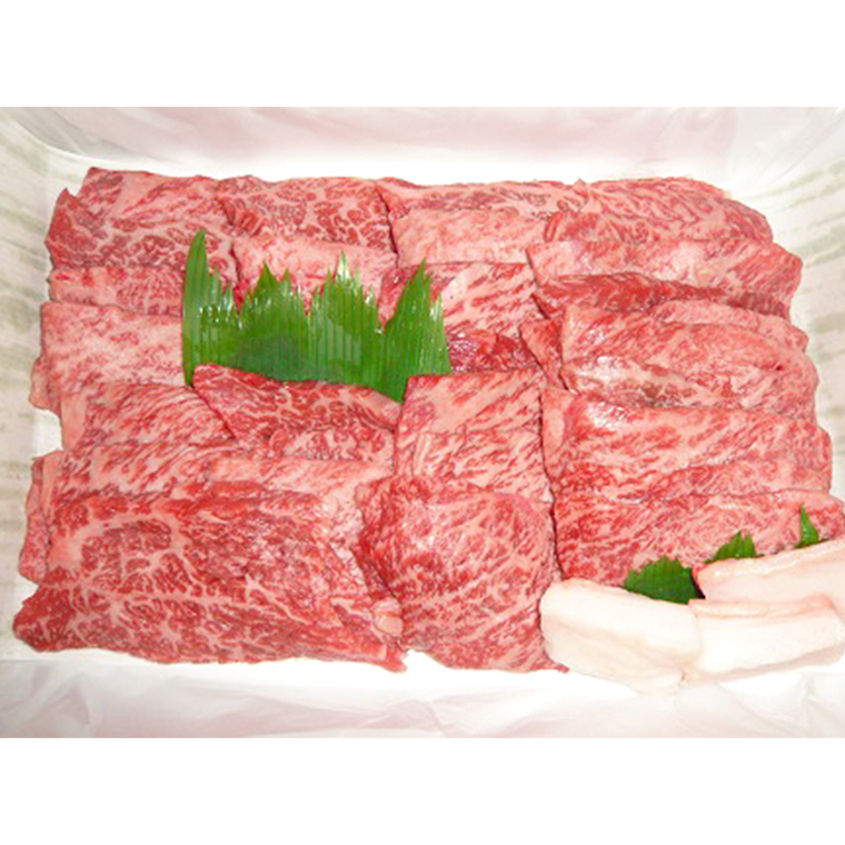 茨城県産高級黒毛和牛「常陸牛」　もも焼肉用　480g　[AI009ya]