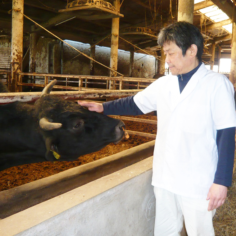茨城県産高級黒毛和牛「常陸牛」　ももスライス　480g　[AI010ya]