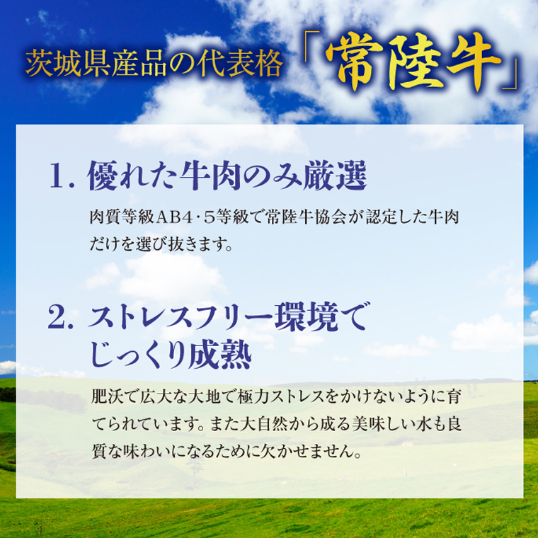 【茨城県共通返礼品／行方市】 美明豚 × 常陸牛 最高のステーキセット 約1,350g 豚肉 牛肉 豚 牛 ひたち牛 SPF ブランド牛 ブランド豚 詰め合わせ 食べ比べ セット 贈答用 国産 黒毛和牛 最高級 サーロイン ロース ステーキ[CF005ya]