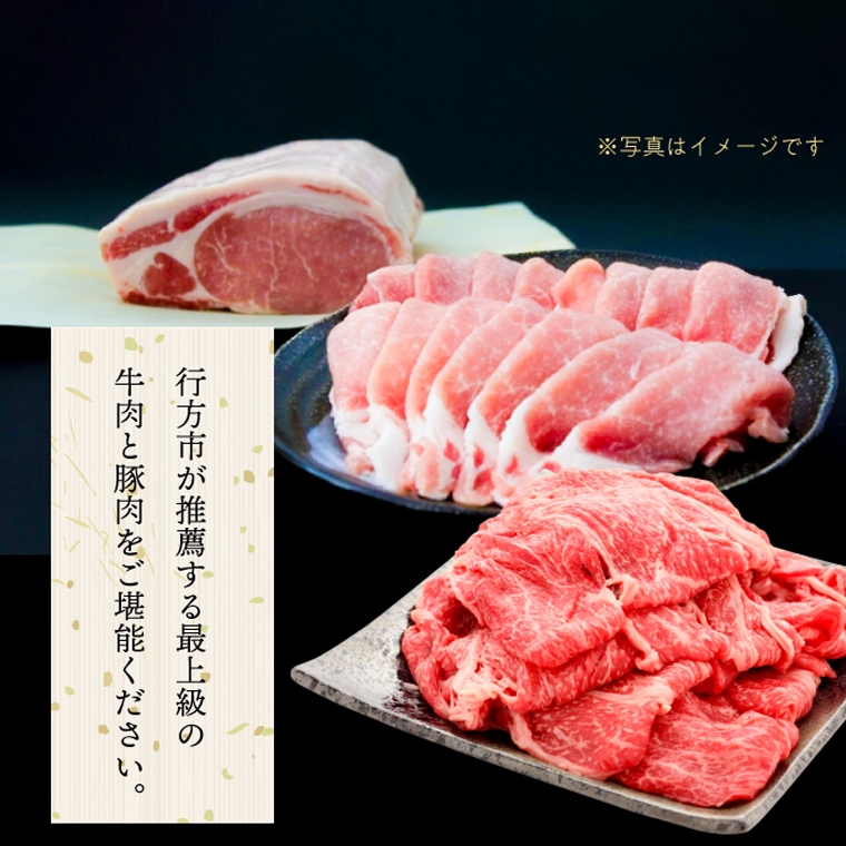 【茨城県共通返礼品／行方市】 美明豚 × 常陸牛 最高のステーキセット 約1,350g 豚肉 牛肉 豚 牛 ひたち牛 SPF ブランド牛 ブランド豚 詰め合わせ 食べ比べ セット 贈答用 国産 黒毛和牛 最高級 サーロイン ロース ステーキ[CF005ya]