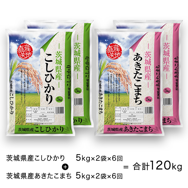 【6ヶ月定期便】 令和4年産米 茨城県産 コシヒカリ ・ あきたこまち 大容量 食べ比べ セット (精米) 20kg ( 5kg ×2袋×2品種)×6回　計 120kg お米 米 白米 精米大容量 定期便 6回 6ヶ月 おすすめ 人気 大人気 国産 茨城県 いばらき ランキング 単一米 食べ比べ こしひかり [AK024ya]