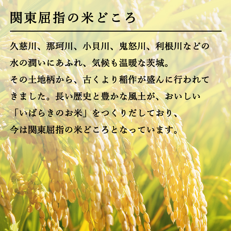 【6ヶ月定期便】 令和4年産米 茨城県産 コシヒカリ ・ あきたこまち 大容量 食べ比べ セット (精米) 20kg ( 5kg ×2袋×2品種)×6回　計 120kg お米 米 白米 精米大容量 定期便 6回 6ヶ月 おすすめ 人気 大人気 国産 茨城県 いばらき ランキング 単一米 食べ比べ こしひかり [AK024ya]