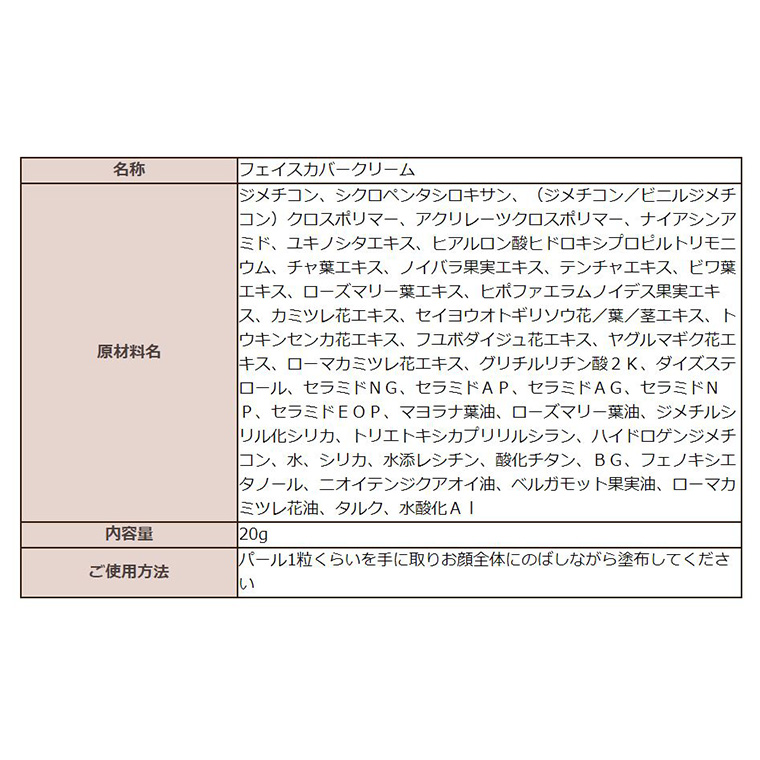 THE FUTURE ( ザフューチャー )  フェイスカバークリーム 20g 男性化粧品 フェイス用 顔 汗 防止 クリーム メンズコスメ 化粧下地 [BX026ya]