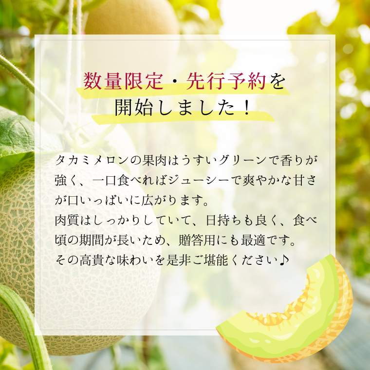 【 先行予約 6月中旬以降発送 】 令和6年産 タカミ メロン 1箱 秀品 3～4玉入り 期間限定 産地直送 果物 フルーツ メロン 青肉 甘い [AV008ya]