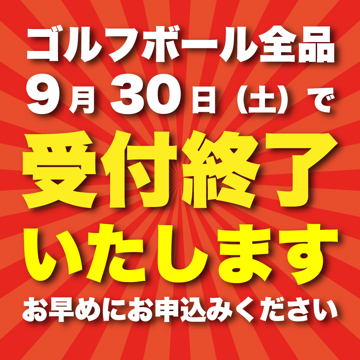 【 2023年9月30日まで 】 ゴルフボール タイトリスト PROV1 ホワイト 1ダース （ 12球 ） 2023年モデル 八菜丸 プロV1 Titleist ゴルフ ボール 期間限定 スポーツ [BW001ya]