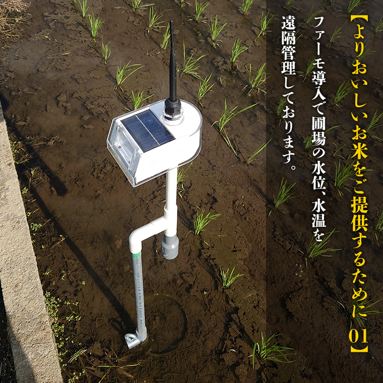 令和7年産 茨城県産 いのちの壱 5kg 玄米 米 こめ コメ 茨城県 国産 いばらき 単一米 単一原料米 大粒 農家直送 [BG014ya]