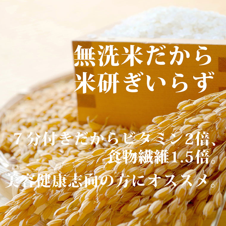 ななひかり米　3kg【無洗米】　[AR001ya]
