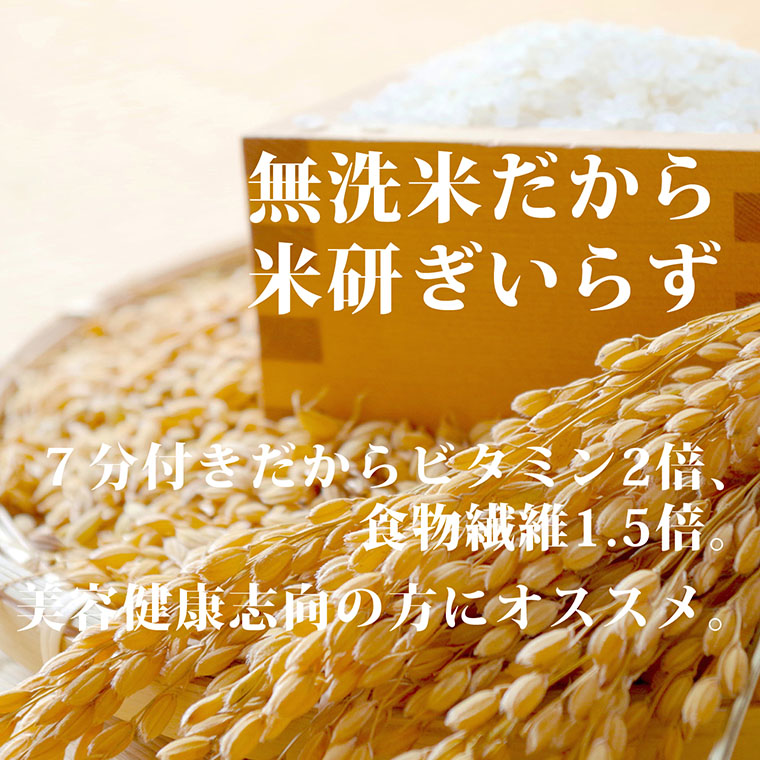 ななひかり米 3kg 【 無洗米 】 米 こしひかり コシヒカリ こめ コメ ご飯 ごはん 茨城県 八千代町 12000円 [AR001ya]