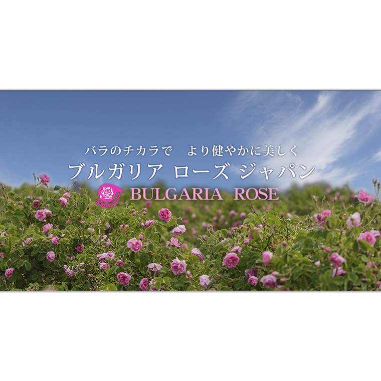 BULGARIA ROSE ダマスク ローズ ウォーター 80ml ダマスクローズ ローズウォーター 母の日 美容 スキンケア コスメ 化粧水 バラ 保湿 肌 ふるさと納税【BX001ya】