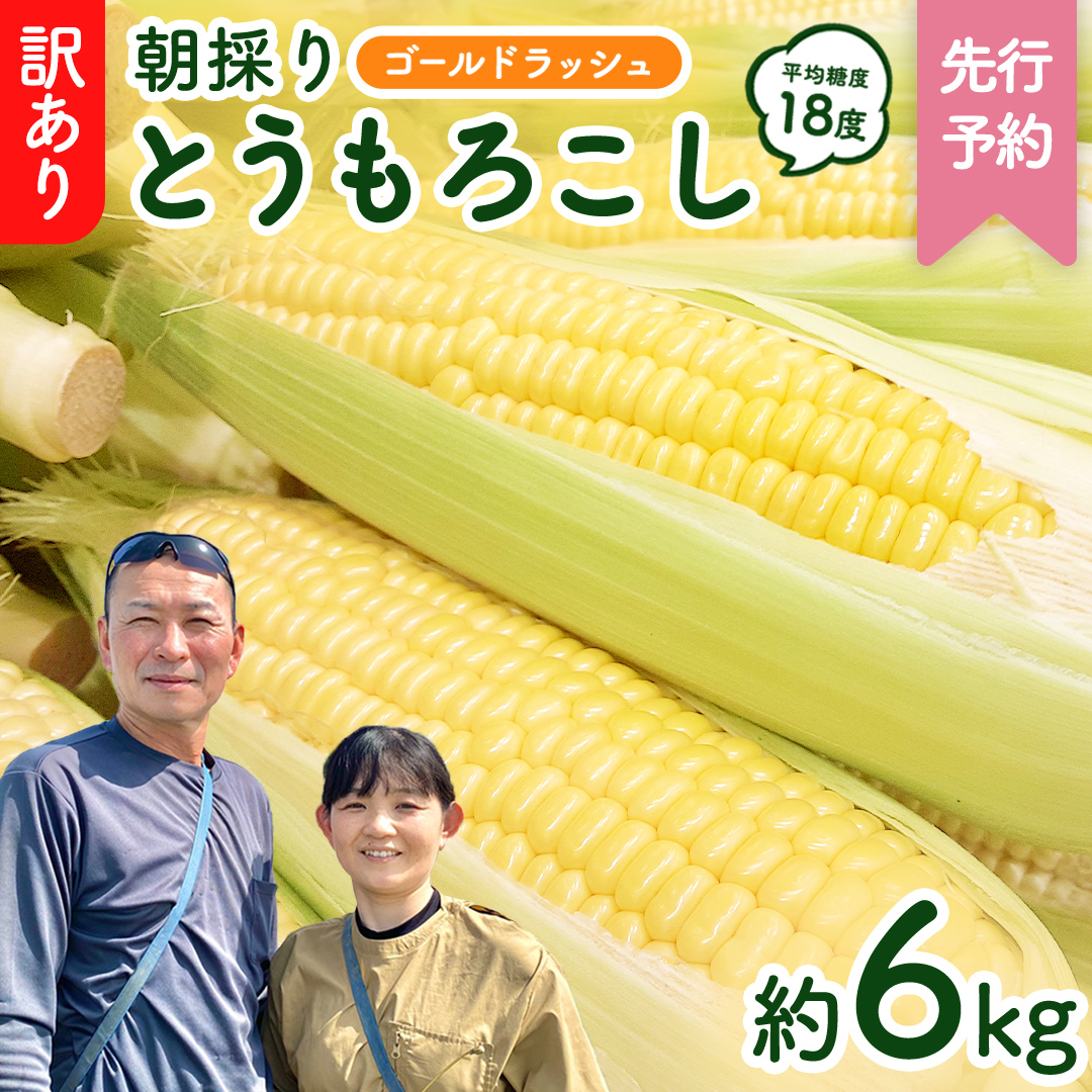 【 先行予約 2025年 6月下旬 以降発送】【 令和7年産 】【 訳あり 】 朝採り とうもろこし （ ゴールドラッシュ ） 約 6kg トウモロコシ スイートコーン コーン 野菜 産地直送 期間限定 岩田さん 昼めし旅 [AX021ya]