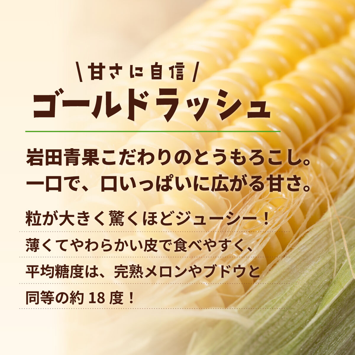 【先行予約 2026年6月中旬以降発送 】 【 令和8年産 】 【 訳あり 】 深夜採り 朝出荷 とうもろこし （ ゴールドラッシュ ） 約 6kg トウモロコシ スイートコーン コーン 野菜 産地直送 期間限定 岩田さん 昼めし旅 [AX021ya]