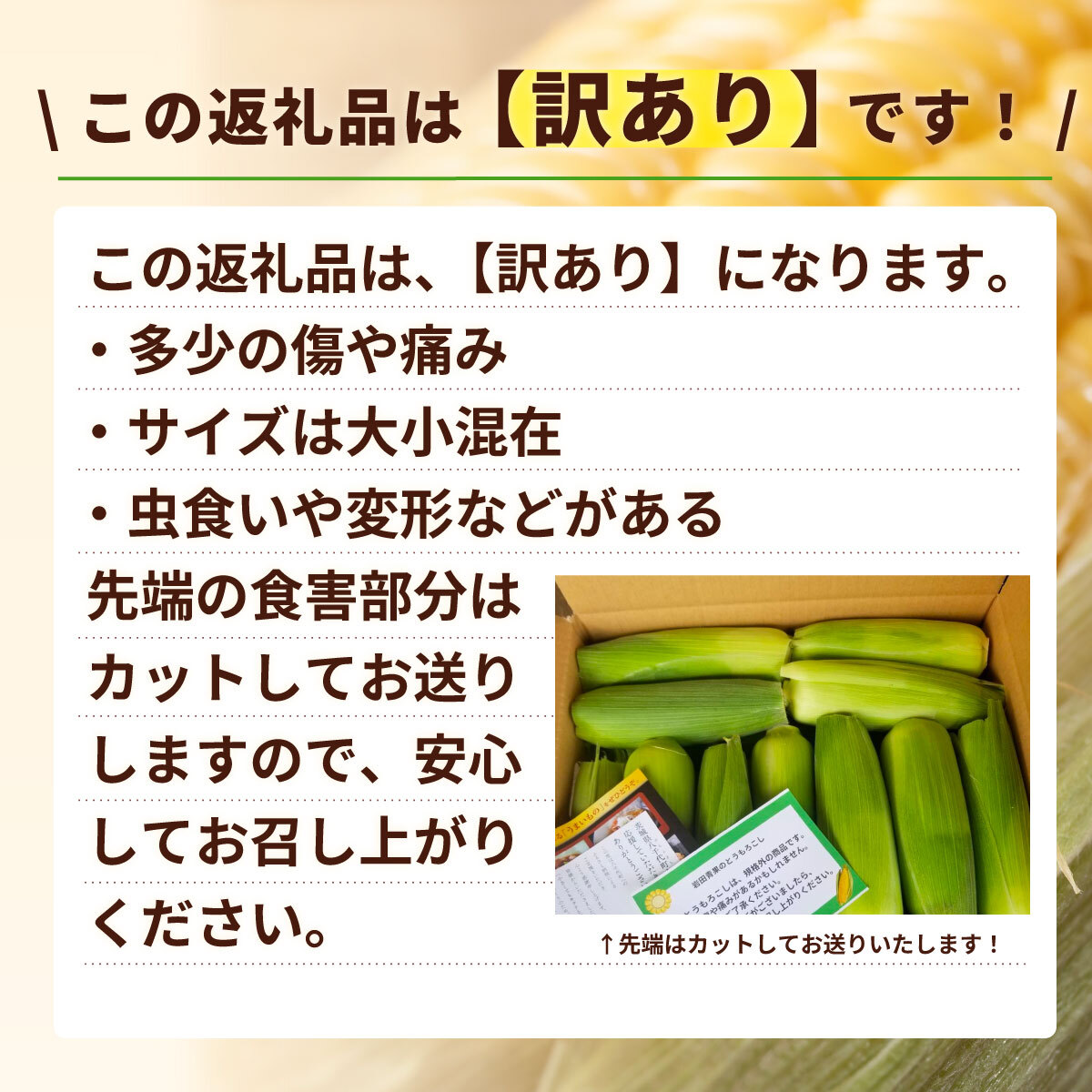 【先行予約 2026年6月中旬以降発送 】 【 令和8年産 】 【 訳あり 】 深夜採り 朝出荷 とうもろこし （ ゴールドラッシュ ） 約 6kg トウモロコシ スイートコーン コーン 野菜 産地直送 期間限定 岩田さん 昼めし旅 [AX021ya]