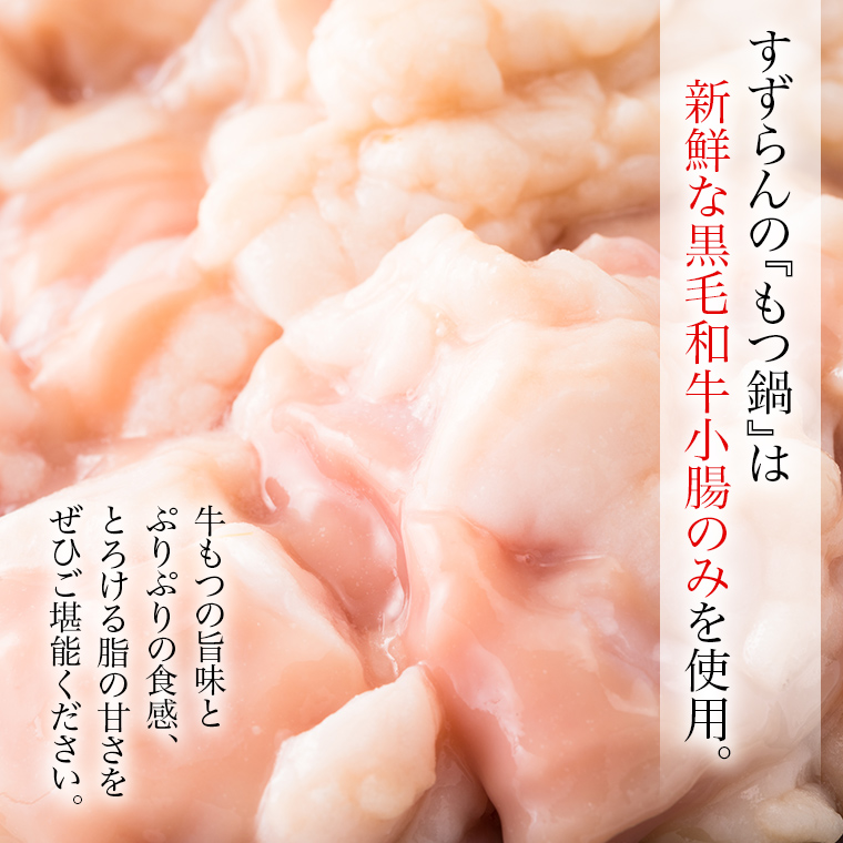 黒毛和牛 もつ鍋 セット 牛もつ 500g（ 2～3人前 × 2回分 ） 和牛 鍋 ふるさと納税 7000円 お手軽 [AU089ya]