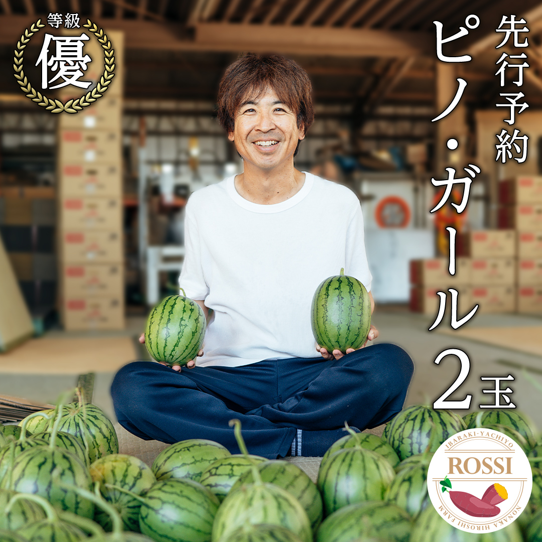 【 先行予約 7月下旬 以降発送 】 小玉 スイカ ピノ・ガール 2玉 優以上 NONAKA HIROSHI FARM すいか 西瓜 数量限定 甘い 夏 果物 旬 [AX029ya]