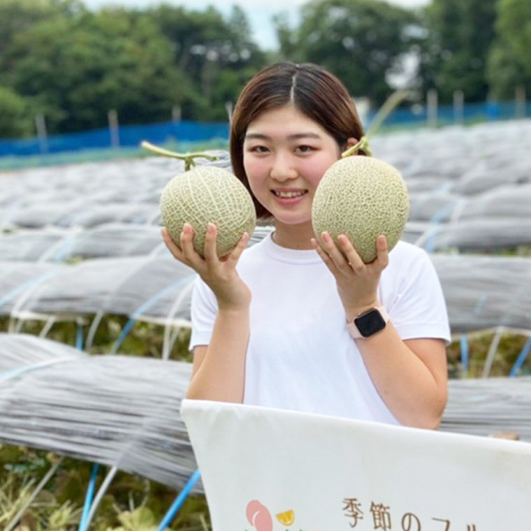 【 令和7年産 】【 先行予約 】タカミレッドメロン 秀品 1箱 2玉入り 飯岡 メロン 貴味 タカミ 赤肉 果物 フルーツ 甘い [CG002ya]