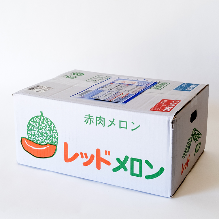 【 令和7年産 】【 先行予約 】タカミレッドメロン 秀品 1箱 2玉入り 飯岡 メロン 貴味 タカミ 赤肉 果物 フルーツ 甘い [CG002ya]