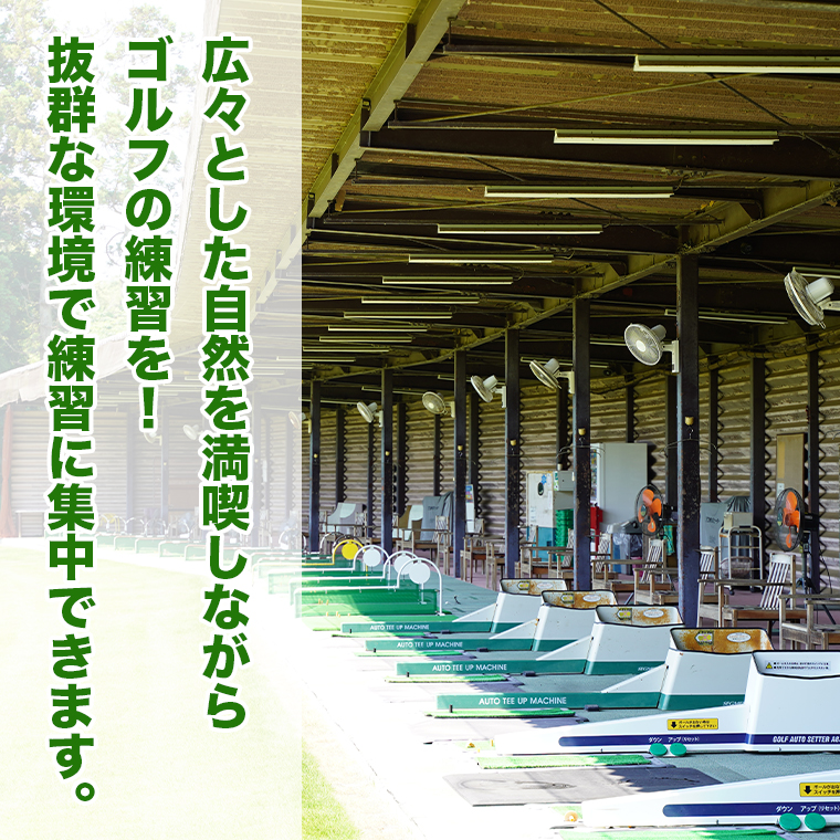 ゴルフ練習場回数券 11回券（550球） ビジター用 イベントやチケット ゴルフ場利用券 打ちっぱなし 回数券 アウトドア ビジター [CD005ya]