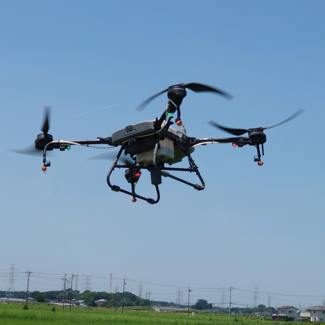 令和7年産 茨城県産 ミルキークイーン 10kg 玄米 米 こめ コメ 農家 直送 こだわり お米 おこめ 茨城 [BG011ya]