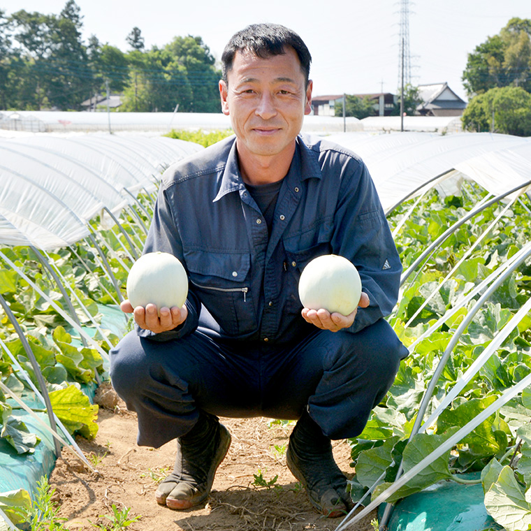 農家直送 プリンスメロン 1箱 約5kg ( 7～8玉入り ) 【 2025年5月下旬以降発送 】【 先行予約 】 期間限定 産地直送 果物 フルーツ メロン 甘い [CM001ya]