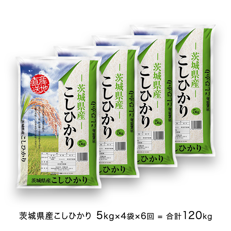 【6ヶ月定期便】 令和4年産米 茨城県産 コシヒカリ (精米) 20kg ( 5kg ×4袋)×6回 計 120kg お米 米 白米 精米 大容量 定期便 6回 6ヶ月 おすすめ 人気 大人気 国産 茨城県 いばらき ランキング 単一米 こしひかり [AK022ya]