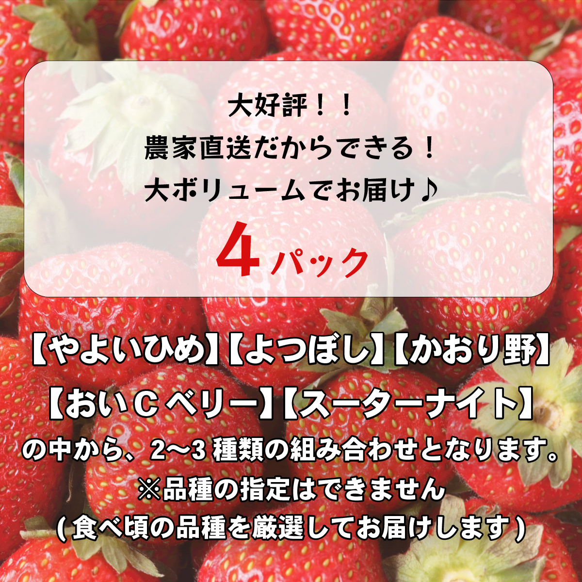 【 先行予約 2026年1月中旬以降発送 】 数量限定 農家直送 ♪ 八千代町産 いちご ボリュームパック （ 4パック ） 人気 の 詰め合わせ セット イチゴ 苺 季節限定 茨城県 フルーツ 果物 食べ比べ セット [AJ002ya]