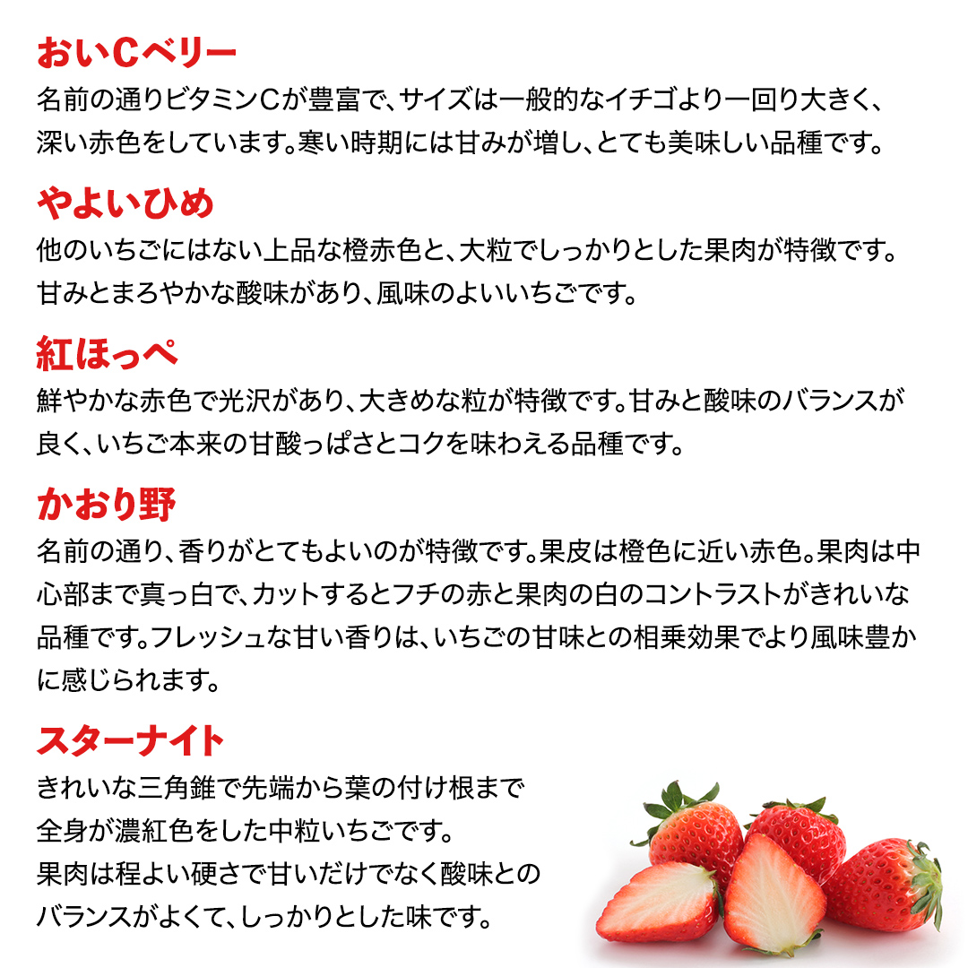 【 先行予約 2025年1月中旬以降発送 】 数量限定 農家直送 ♪ 八千代町産 いちご ボリュームパック （ 4パック 計約 1400g ） 人気 の 詰め合わせ セット イチゴ 苺 季節限定 茨城県 フルーツ 果物 食べ比べ セット スムージー ケーキ [AJ002ya]