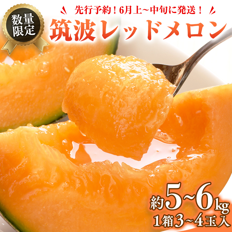 筑波レッドメロン 1箱 3玉 ～ 4玉 入り（ 約 5kg ～ 6kg ）【2026年6月上旬以降発送】 赤肉　数量限定 メロン レッド 赤肉 甘い 期間限定 産地直送 果物 フルーツ [BU002ya]