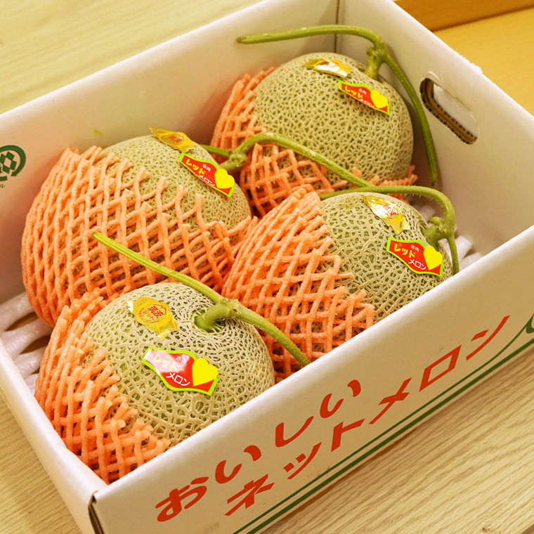 筑波レッドメロン 1箱 3玉 ～ 4玉 入り（ 約 5kg ～ 6kg ）【2026年6月上旬以降発送】 赤肉　数量限定 メロン レッド 赤肉 甘い 期間限定 産地直送 果物 フルーツ [BU002ya]