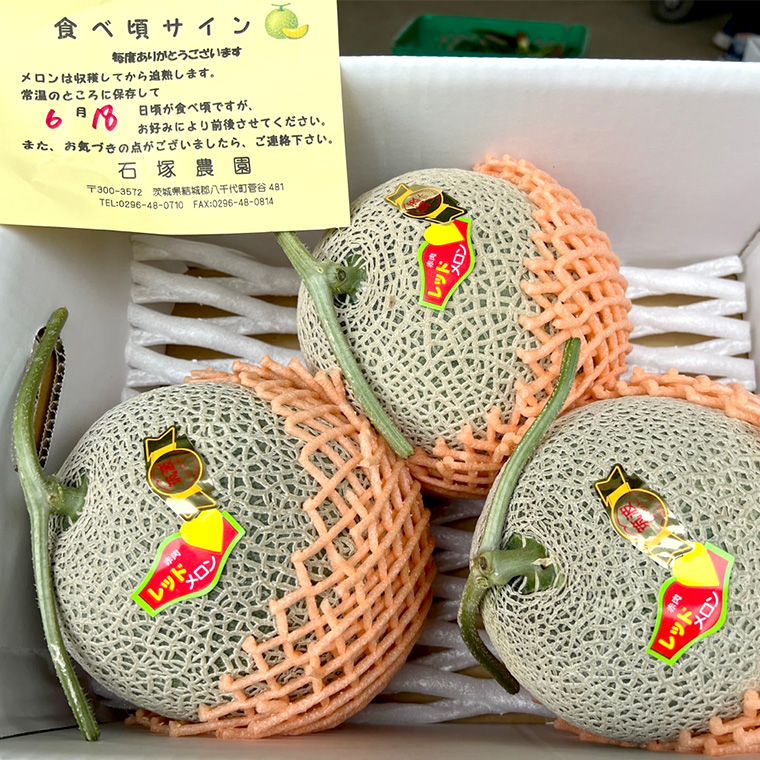筑波レッドメロン 1箱 3玉 ～ 4玉 入り（ 約 5kg ～ 6kg ）【2026年6月上旬以降発送】 赤肉　数量限定 メロン レッド 赤肉 甘い 期間限定 産地直送 果物 フルーツ [BU002ya]