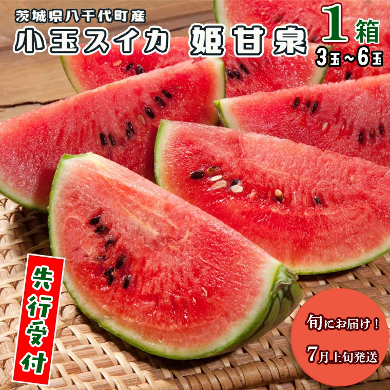 【 先行予約 2026年7月上旬発送】 八千代町産 小玉スイカ 姫甘泉 1箱 （3～6玉入り） すいか スイカ 西瓜 小玉 果物 フルーツ お取り寄せ 産地直送 茨城県 [AV002ya]