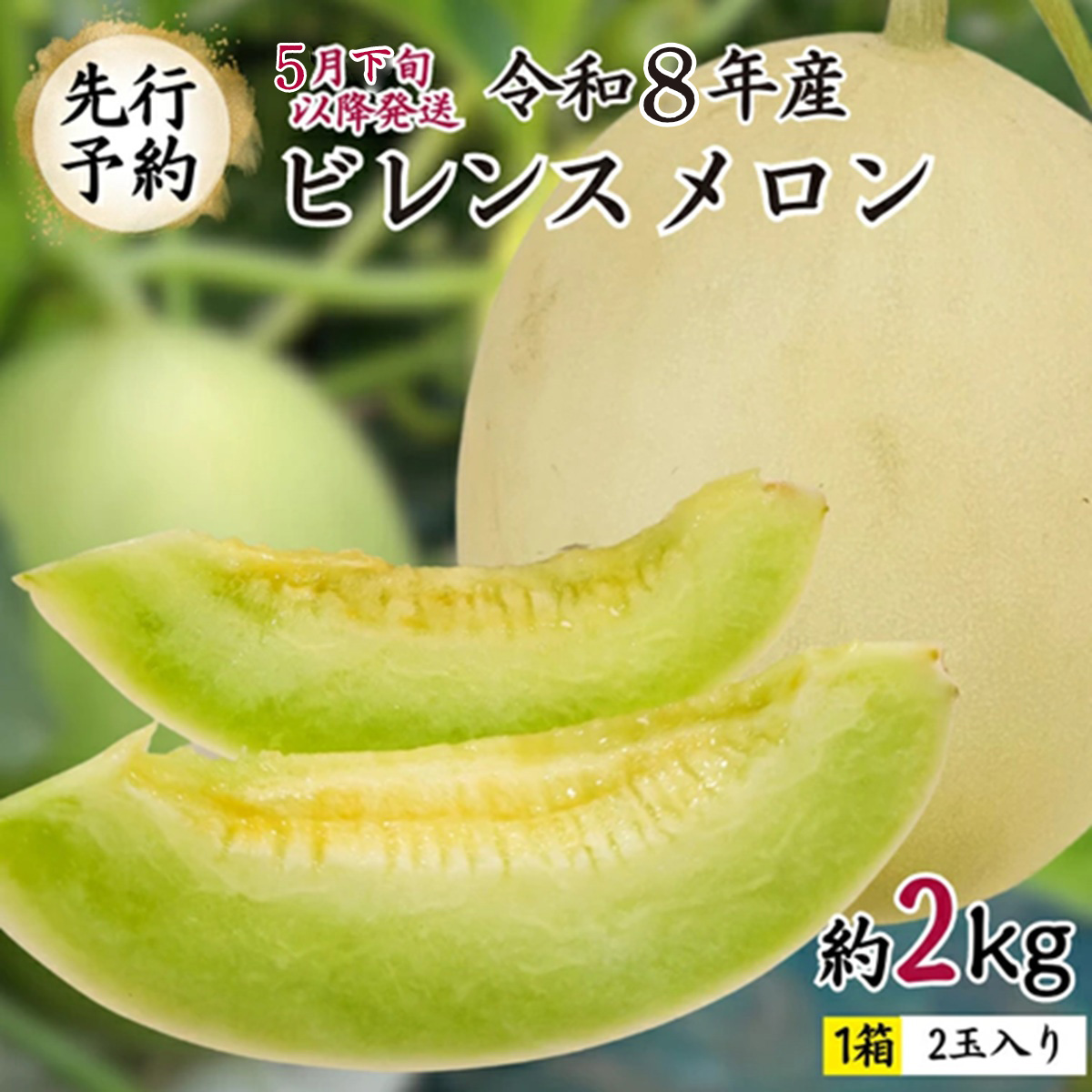 【 先行予約 5月下旬以降発送 】 令和8年産 ビレンス メロン 約2kg 1箱 2玉入り めろん 期間限定 産地直送 果物 フルーツ 青肉 甘い 新鮮 希少 ギフト [AV007ya]