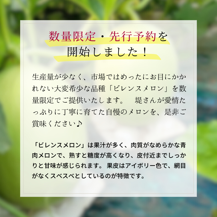 【 先行予約 6月中旬以降発送 】 令和5年産 ビレンス メロン 約2kg 1箱 2玉入り めろん 期間限定 産地直送 果物 フルーツ 青肉 甘い 新鮮 希少 ギフト [AV007ya]