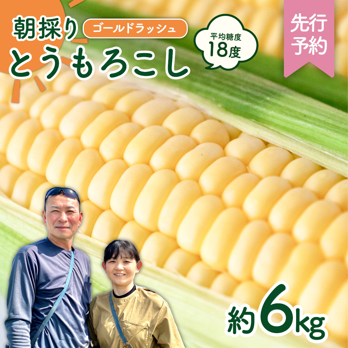 【先行予約 2026年6月中旬以降発送 】 【 令和8年産 】 朝採り とうもろこし （ ゴールドラッシュ ） 約 6kg トウモロコシ スイートコーン コーン 野菜 産地直送 期間限定 極甘 岩田さん 昼めし旅 [AX019ya]
