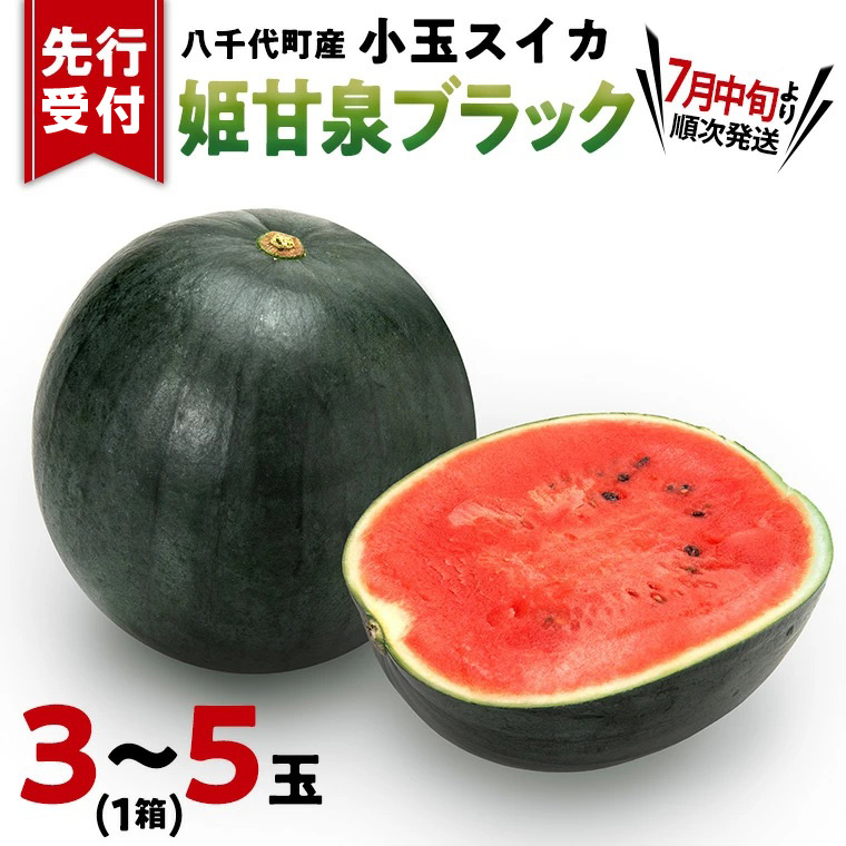 【先行予約 2026年7月中旬発送】 小玉スイカ 姫甘泉ブラック 1箱（３～5玉入り）八千代町産 黒皮 すいか スイカ 西瓜 小玉 果物 フルーツ お取り寄せ 産地直送 茨城県 [AV003ya]