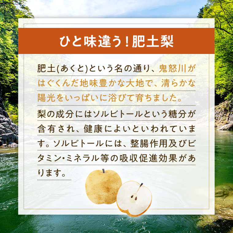 【 先行予約 】【 8月上旬 以降発送】 八千代町産 肥土 （ あくと ） 梨 「 幸水梨 」 約 5kg 期間限定 なし 果物 フルーツ 甘い [AA007ya]