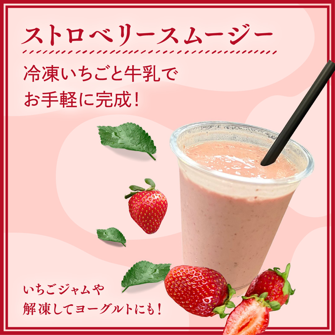【 訳あり 】 冷凍 いちご 約2.5kg ( 500g × 5パック ) イチゴ 苺 アイス 冷たい 旬 凍眠 小分け 新鮮 お得 品種ランダム [AU069ya]