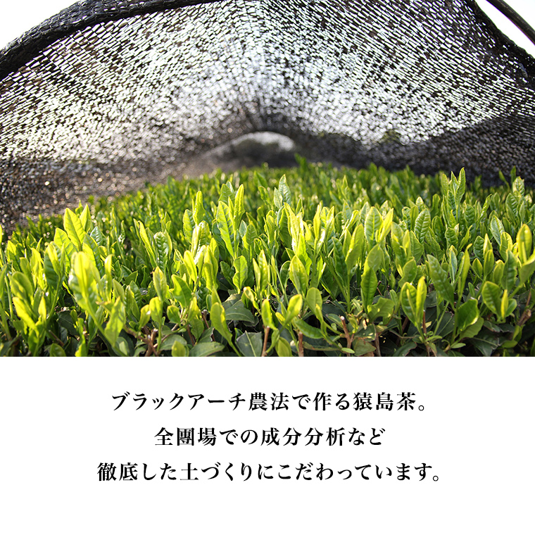 ブラックアーチ農法 猿島茶 伝統 300g （ 100g × 3個 ） [AF009ya]