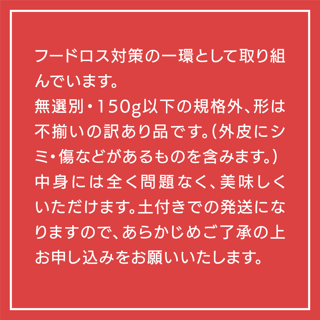 【 先行予約 2024年11月下旬以降発送 】【 訳あり 】 八千代町産 熟成小芋 紅はるか 生芋 土付き 10kg さつまいも サツマイモ 芋 イモ ふるさと納税 6000円 訳アリ [AX052ya]