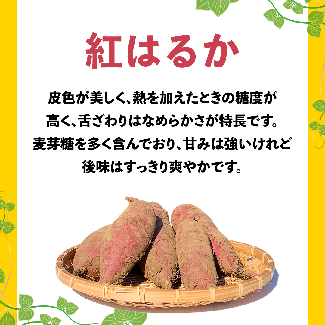 訳あり さつまいも 紅はるか 約 10kg 土付き 無選別 茨城 八千代町産 生芋 サツマイモ さつま芋 焼き芋 やきいも 芋 イモ 野菜 不揃い 規格外 長期熟成 おやつ デザート 秋 旬 農家直送 【 先行予約 2024年10月下旬以降発送 】 [AX010ya]