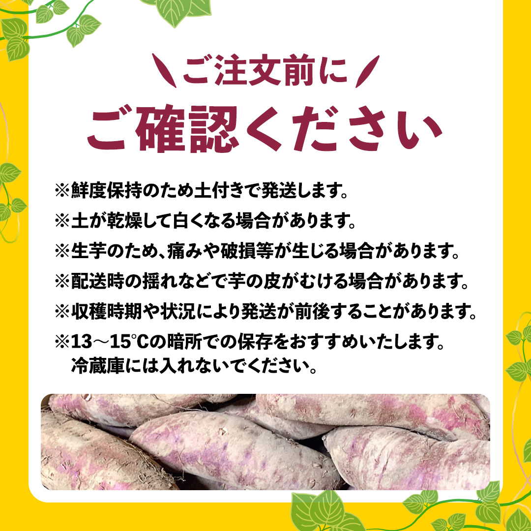 訳あり さつまいも 紅はるか 約 10kg 土付き 無選別 茨城 八千代町産 生芋 サツマイモ さつま芋 焼き芋 やきいも 芋 イモ 野菜 不揃い 規格外 長期熟成 おやつ デザート 秋 旬 農家直送 【 先行予約 2024年10月下旬以降発送 】 [AX010ya]