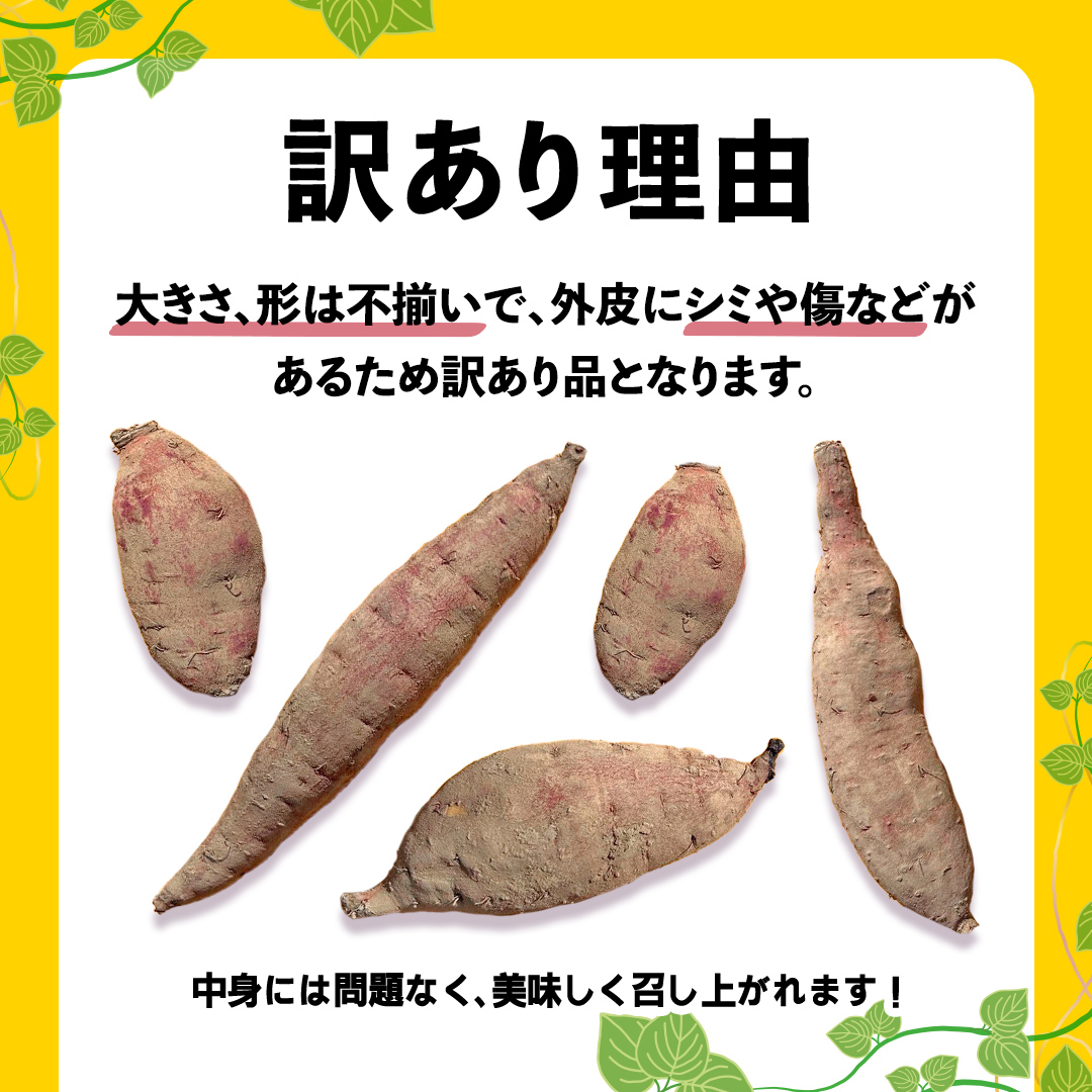 訳あり さつまいも 紅はるか 約 5kg 土付き 無選別 茨城 八千代町産 生芋 サツマイモ さつま芋 焼き芋 やきいも 芋 イモ 野菜 不揃い 規格外 長期熟成 おやつ デザート 秋 旬 農家直送 5000円 【 先行予約 2025年10月下旬以降発送 】 [AX046ya]