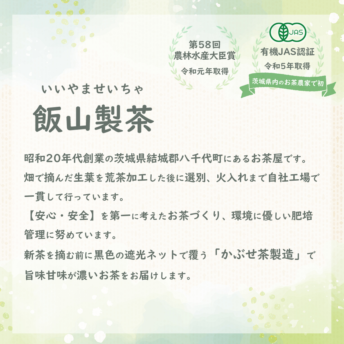茨城県産初 からだにやさしい オーガニック茶 バラエティセット お茶 煎茶 ほうじ茶 飲料 ティーバッグ [AE043ya]